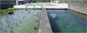 Edmonton natural swimming pool receives top award Edmonton natural swimming pool receives top award