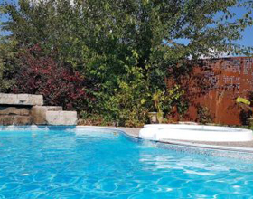 Balancing safety, privacy, and esthetics in backyard screen selection?