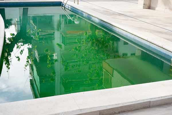 Mysterious incidents of pools turning neon green in New Jersey solved