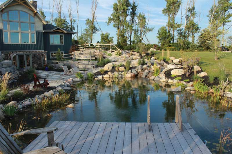 Swim Ponds The Au Naturel Backyard Pool Spa Marketing