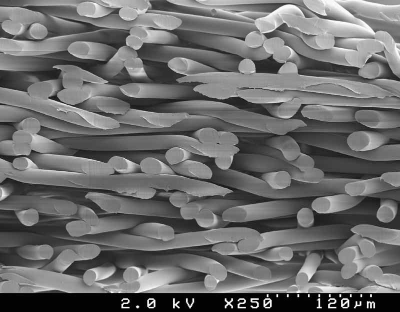 Photo courtesy Pleatco Round filter fibre.