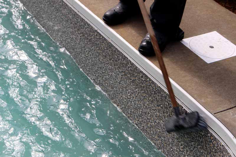 Photo by Jason Cramp Having staff brush the pool walls on a weekly basis removes anything that may have started to grow on them.