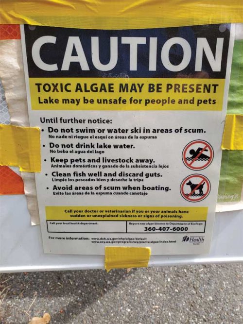 Photos courtesy Terry Arko In August, MSN Lifestyle reported on a number of signs that were posted at lakes across the U.S. warning of toxic algae.