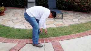 The user inserts the ground rod into the soil near the pool. If the soil is extremely dry, simply using a hose to wet the area before inserting the rod can ensure better results.