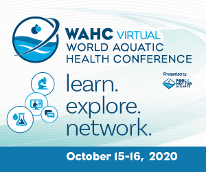 Photo courtesy Pool & Hot Tub Alliance (PHTA) The virtual World Aquatic Health Conference (WAHC), presented by the Pool & Hot Tub Alliance (PHTA), will offer attendees access to content 24-7, including 35 educational sessions that can be viewed at one’s own time and pace.