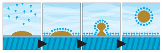 Illustration courtesy BioLab Inc. Certain algaecides and most enzyme-based products contain surfactants that modify water tension, helping to pull debris off surfaces and back into the water where it can be removed by the filter or broken down further by treatment products.