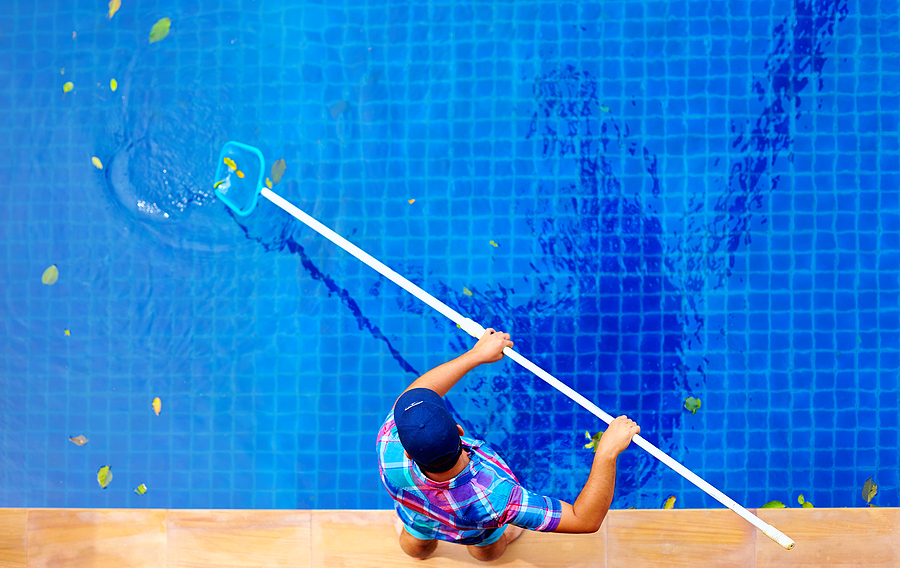 Young adult man personnel cleaning the pool from leaves.