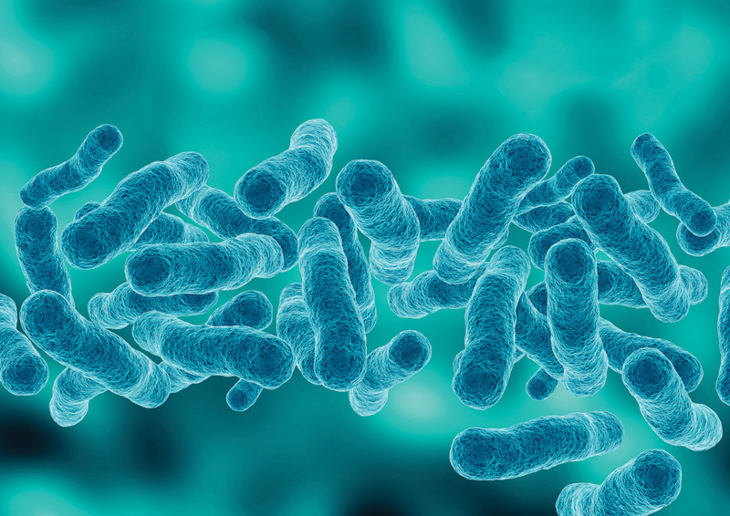 A magnified image of blue cylindrical bacteria, displaying various shapes and sizes against a soft teal background.