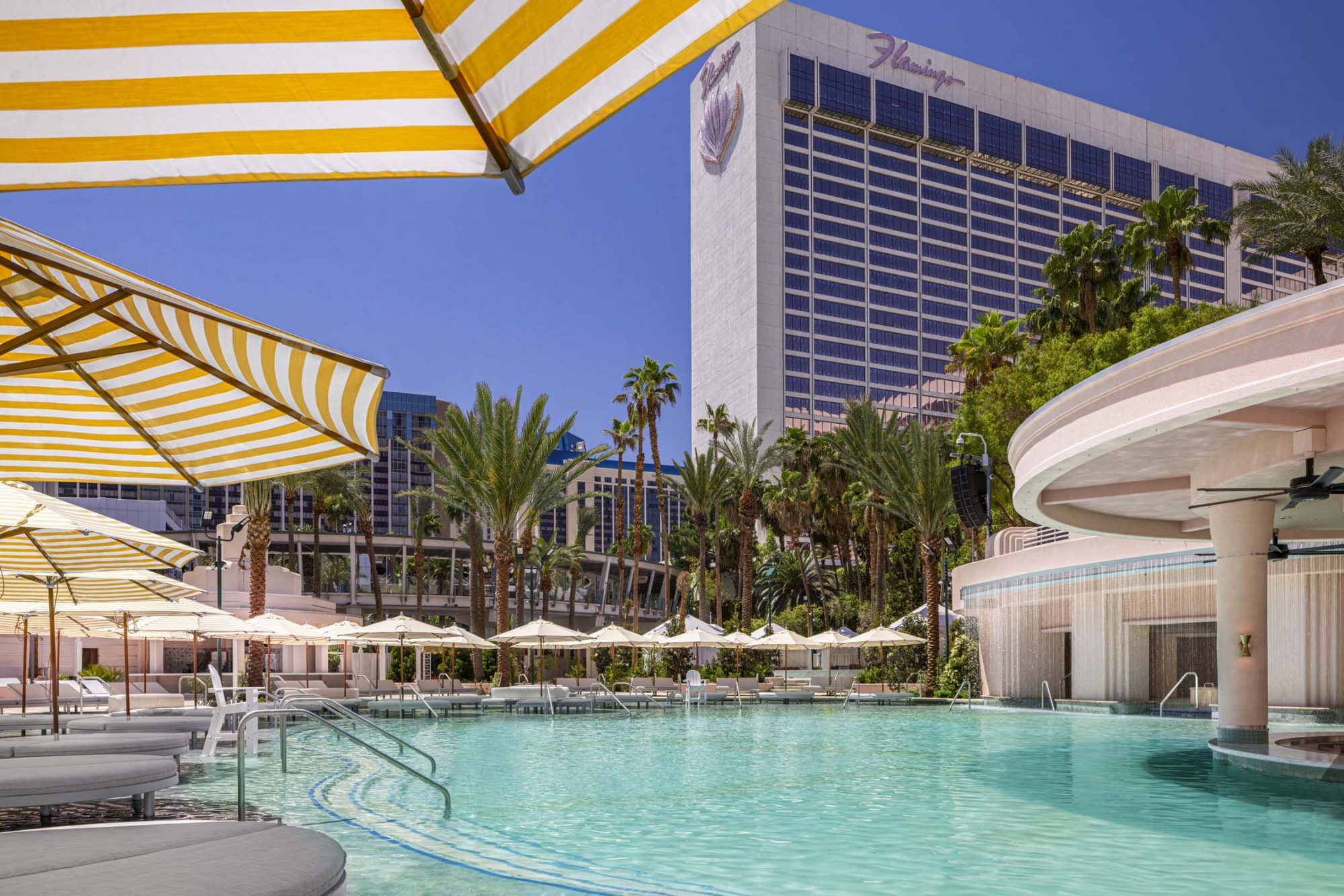 A bright pool area at the Flamingo Hotel, surrounded by palm trees and striped umbrellas under a clear blue sky.
