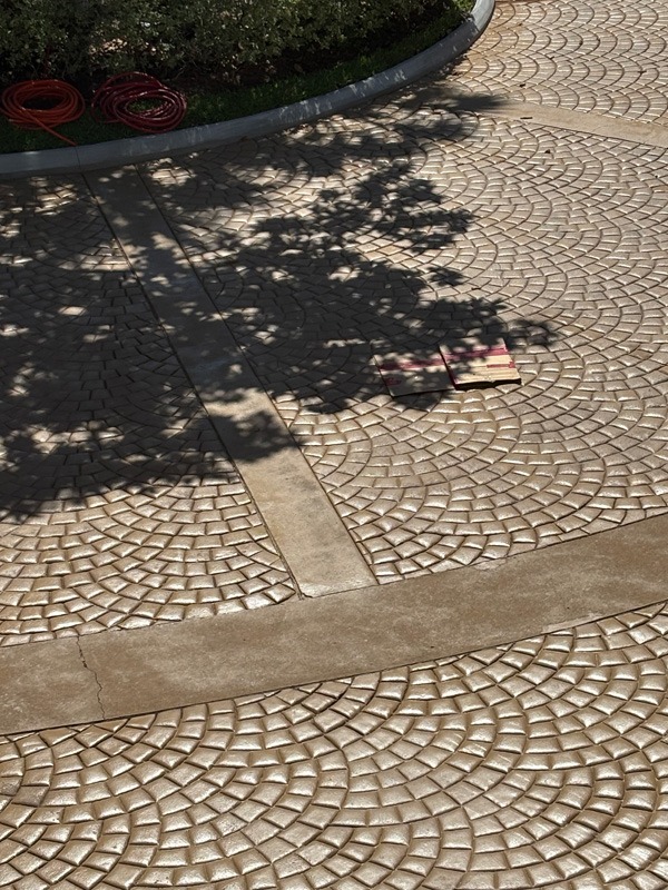 Patterned paved walkway with tree shadows, coiled red hoses beside a planter, and a small red-and-white object on the ground.